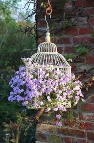 This is what I want my cage to look like, full of colourful flowers. Image source: https://www.pinterest.com/pin/173036810654933343/