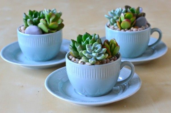 This is absolutely regal. Beautiful ice blue crockery and plants in the same colour family. Those silver blue-green succulents almost blend in with the cups, and that gives such a lovely effect. Image source: http://thekavicliving.weebly.com/diy/diy-creative-planters-for-your-garden