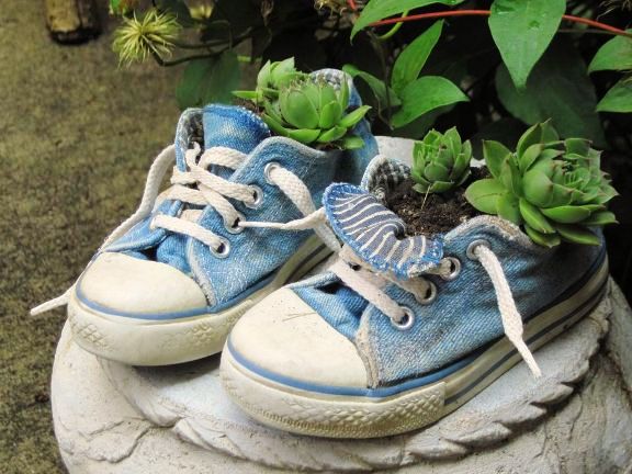 Such cuties these baby shoes are! And such a delicate powder blue. Perfect for these succulents, I could plant some bright colours in them too. Image source: http://www.fleamarketgardening.org/2013/01/29/flea-market-containers-if-it-will-hold-dirt/ 