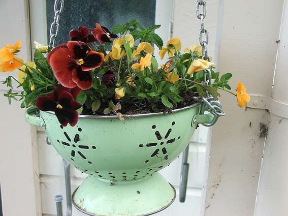 Look at how the light green paint on the strainer gives the perfect background to show off the deep red and orange and light yellow flowers! Image source: http://www.curbly.com/users/mollymc/posts/13691-roundup-7-creative-upcycled-planter-ideas