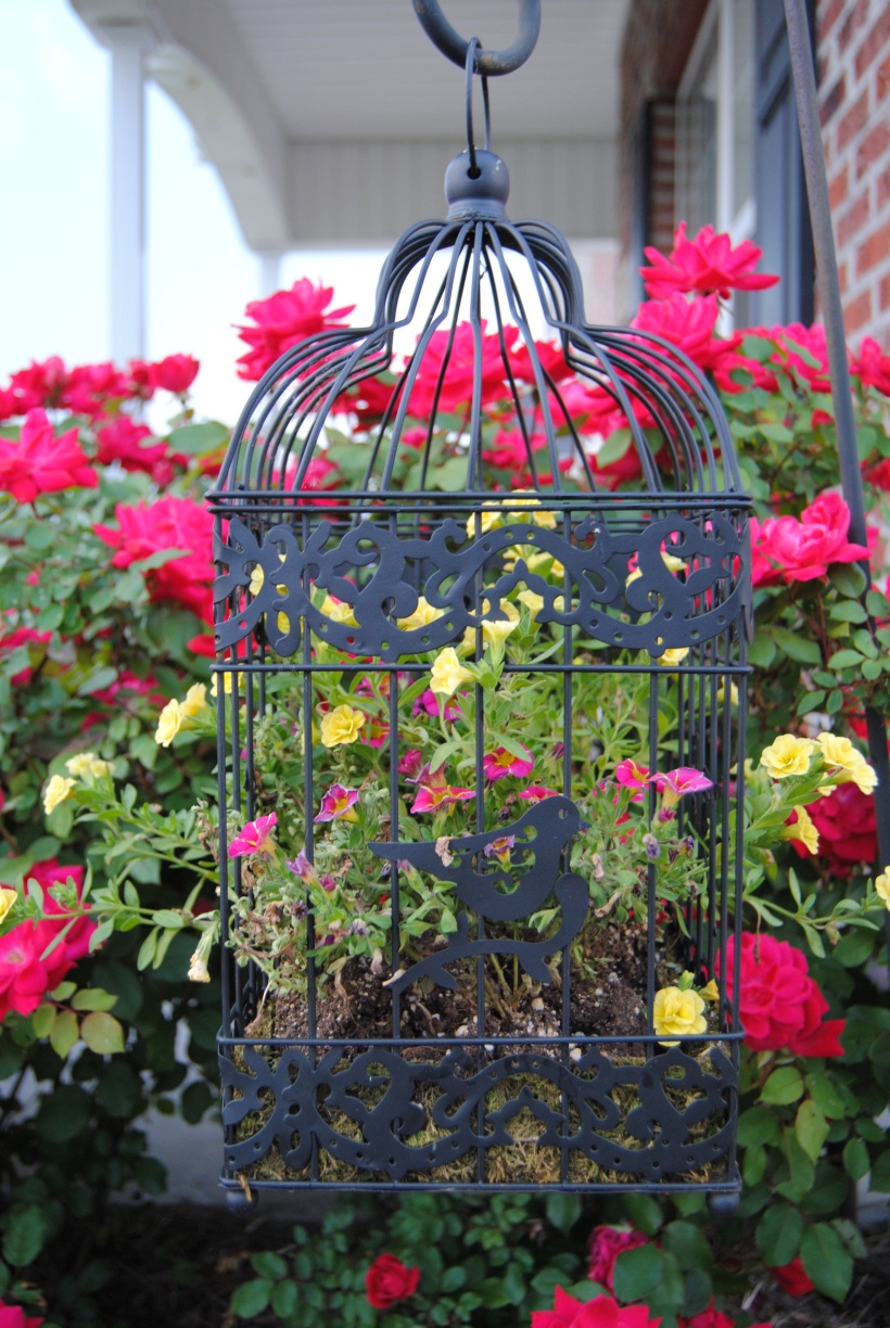 Black birdcage with hot pink and yellow flowers Image source: https://thedoublelifehousewife.wordpress.com/totally-diy/vintage-birdcage-planter/