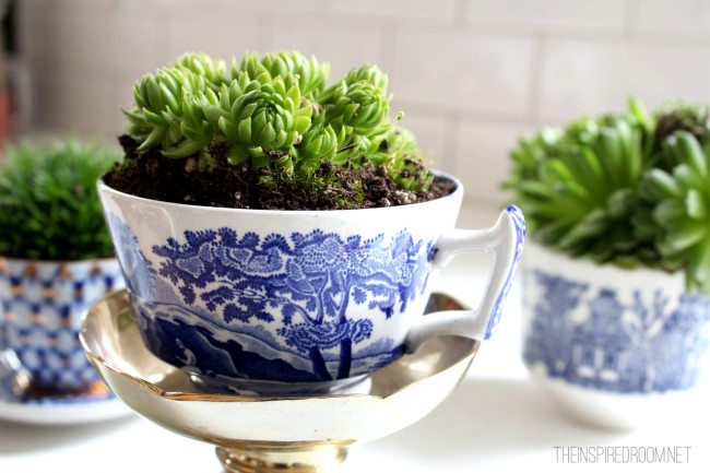 The combination of white and indigo blue pottery and the bright green plant is beautiful! Image source: http://theinspiredroom.net/2013/03/11/indoor-house-plants/