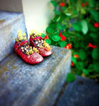 Little girl shoes, pink and sparkly! Perfect for these flowers :-) Image source: https://plantinghappinessblog.files.wordpress.com/2013/04/planting-happiness-urban-gardening-2013-plants-in-baby-shoes.jpg?w=611