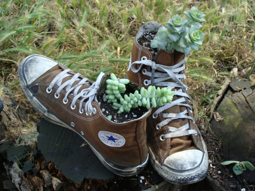 Running shoes with succulents Image source: https://sustainabilityatspu.files.wordpress.com/2014/05/shoe-planter.jpg