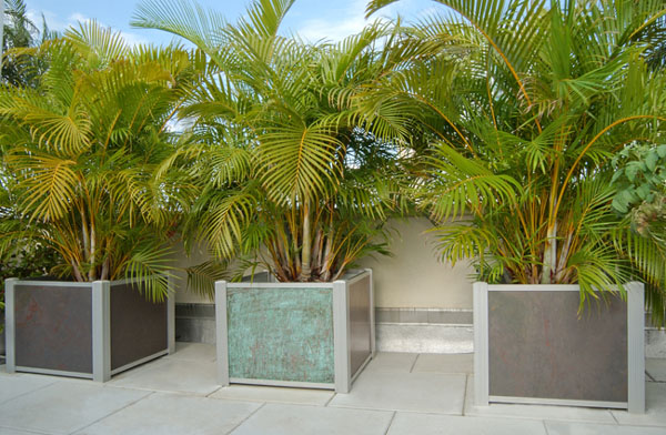 Look at these gorgeous palms http://planterblog.com/blog/?tag=concrete-planters