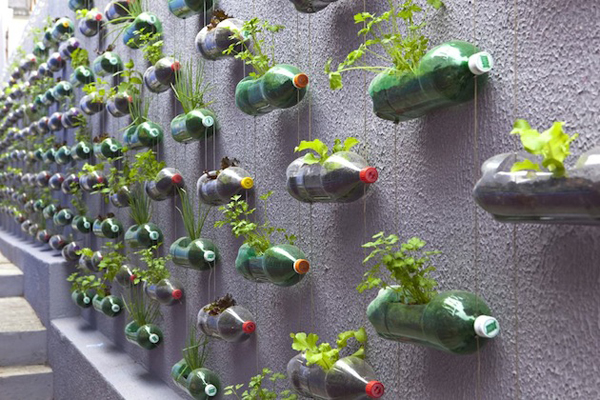 Only soda bottles used to create such a lovely pattern on the wall. Image source: http://www.decoist.com/2014-02-10/upcycle-into-planter/
