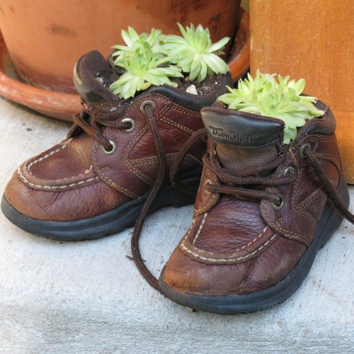 Such beautiful shoes. The lime green leaves really pop against the chocolate brown backdrop. Image source: http://i2.wp.com/theverybesttop10.files.wordpress.com/2013/02/the-world_s-top-10-best-images-of-plants-in-shoes-4.jpg?resize=500%2C500