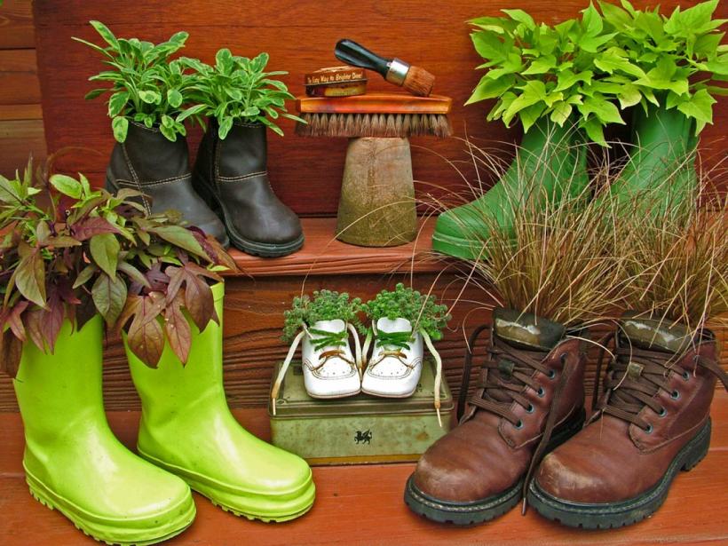 The combination of brown and lime green is so refreshing. Don't miss the black and little white shoes :) Image source: http://www.diynetwork.com/how-to/outdoors/gardening/upcycled-container-gardens-planters-and-vases-pictures